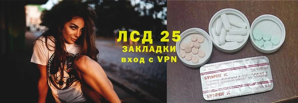шишки Белокуриха
