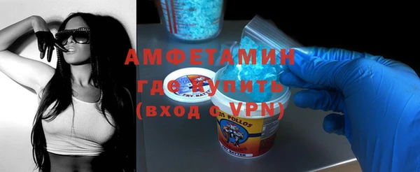 шишки Белокуриха