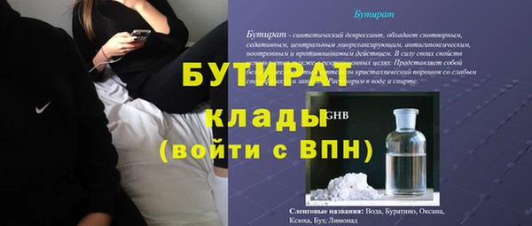шишки Белокуриха