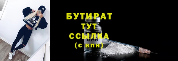 шишки Белокуриха