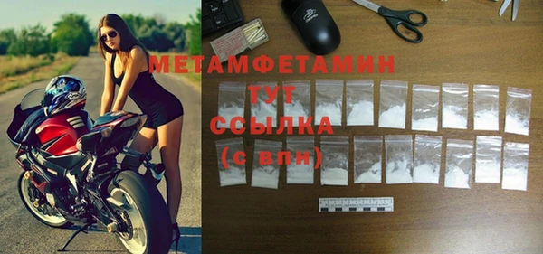 шишки Белокуриха