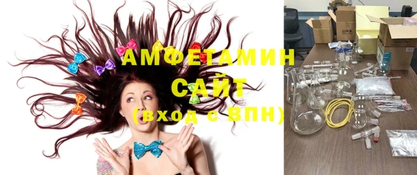 шишки Белокуриха