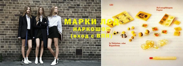 шишки Белокуриха