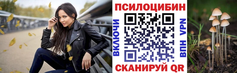 как найти закладки  Болгар  Псилоцибиновые грибы Magic Shrooms 